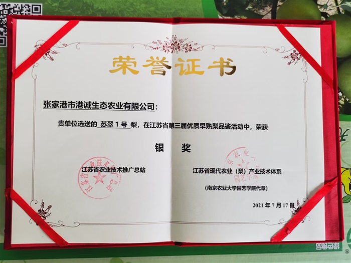 軟布紅色砂帶